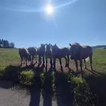 Dusznickie Caloroczne Duszniki Zdrój