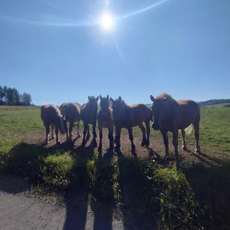 Dusznickie Caloroczne Душники-Здруй