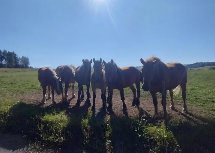 Dusznickie Caloroczne Душники-Здруй